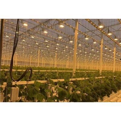 热点大棚爆料视频大全,揭秘农业科技前沿与产业变革